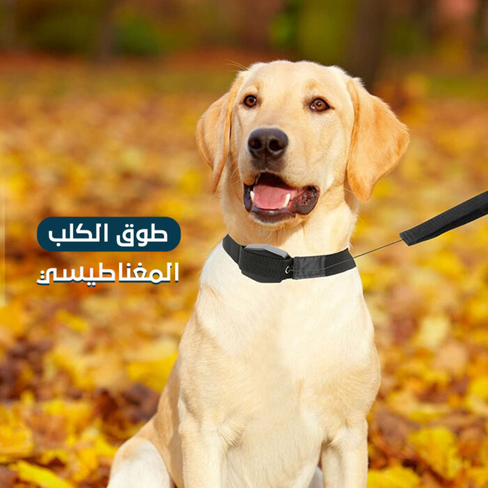 ⁦طوق الكلب المغناطيسي⁩ - الصورة ⁦1⁩