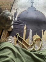 ⁦مصلية مبطنة مانعة للانزلاق كبيرة⁩ - الصورة ⁦6⁩