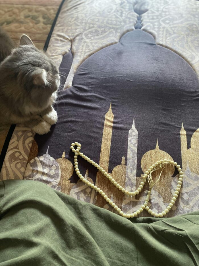 ⁦مصلية مبطنة مانعة للانزلاق كبيرة⁩ - الصورة ⁦6⁩