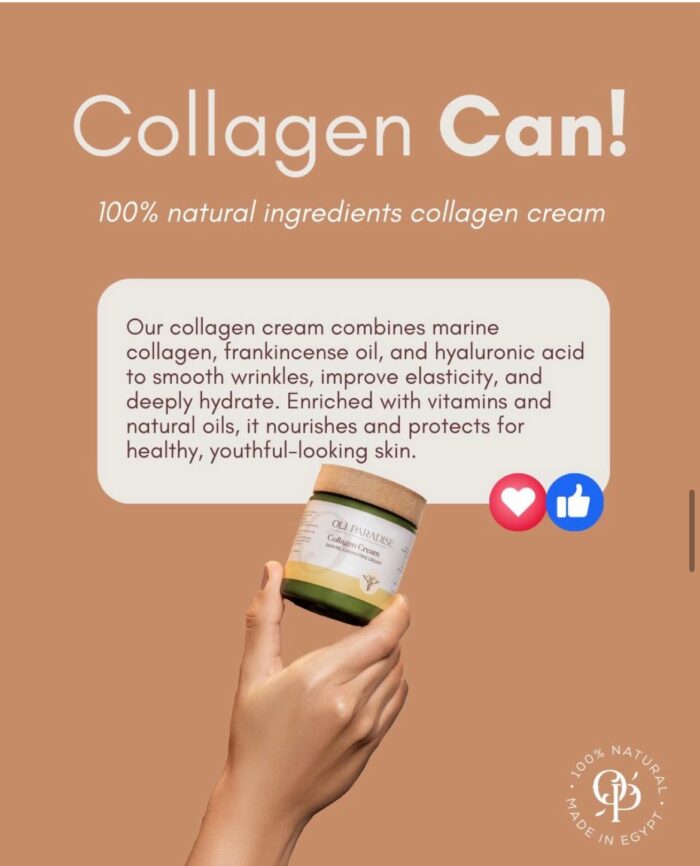 ⁦اولي باراديس كولاجين⁩ - الصورة ⁦6⁩